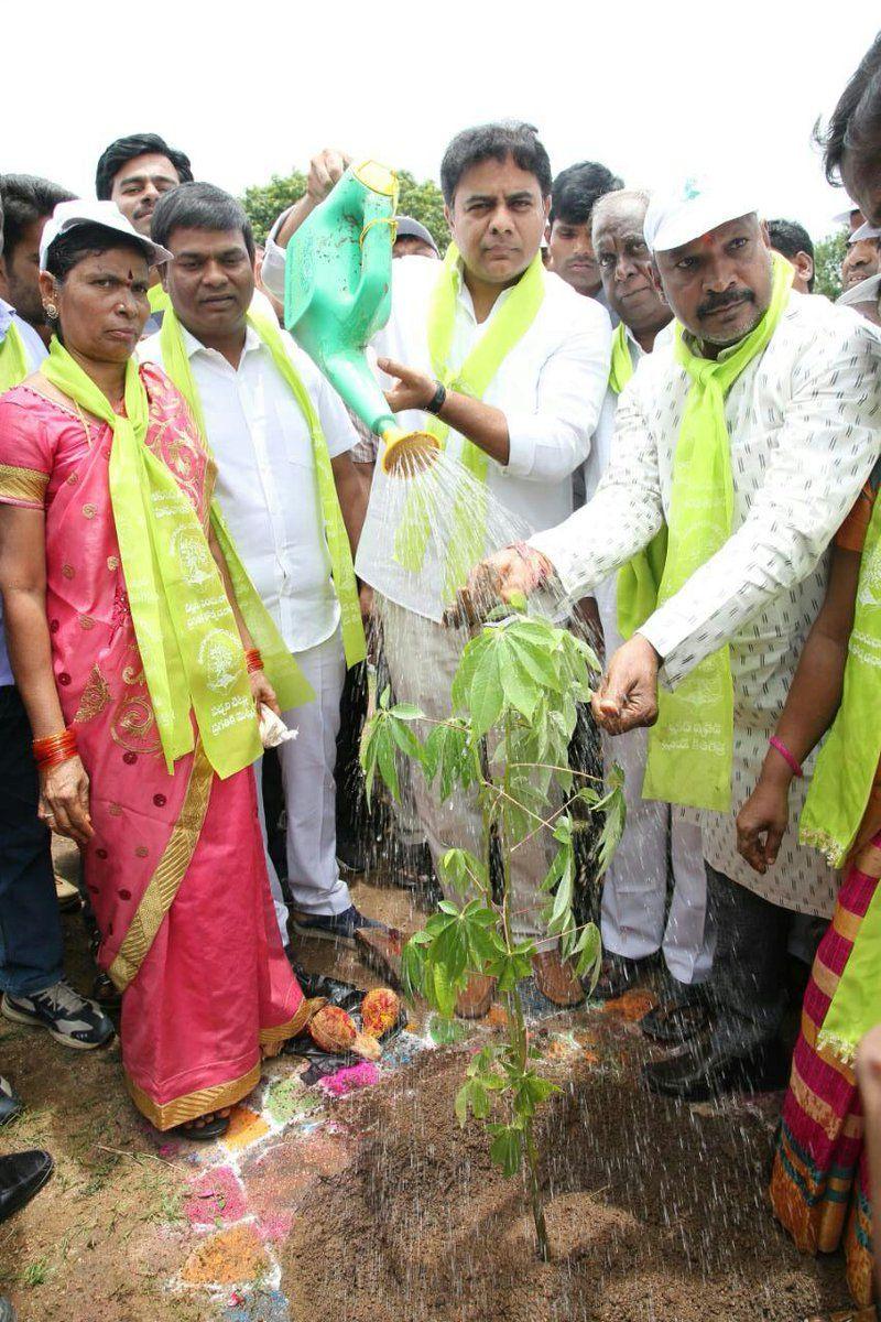 KTR planted saplings at Botanical Gardens as part of Haritha Haram