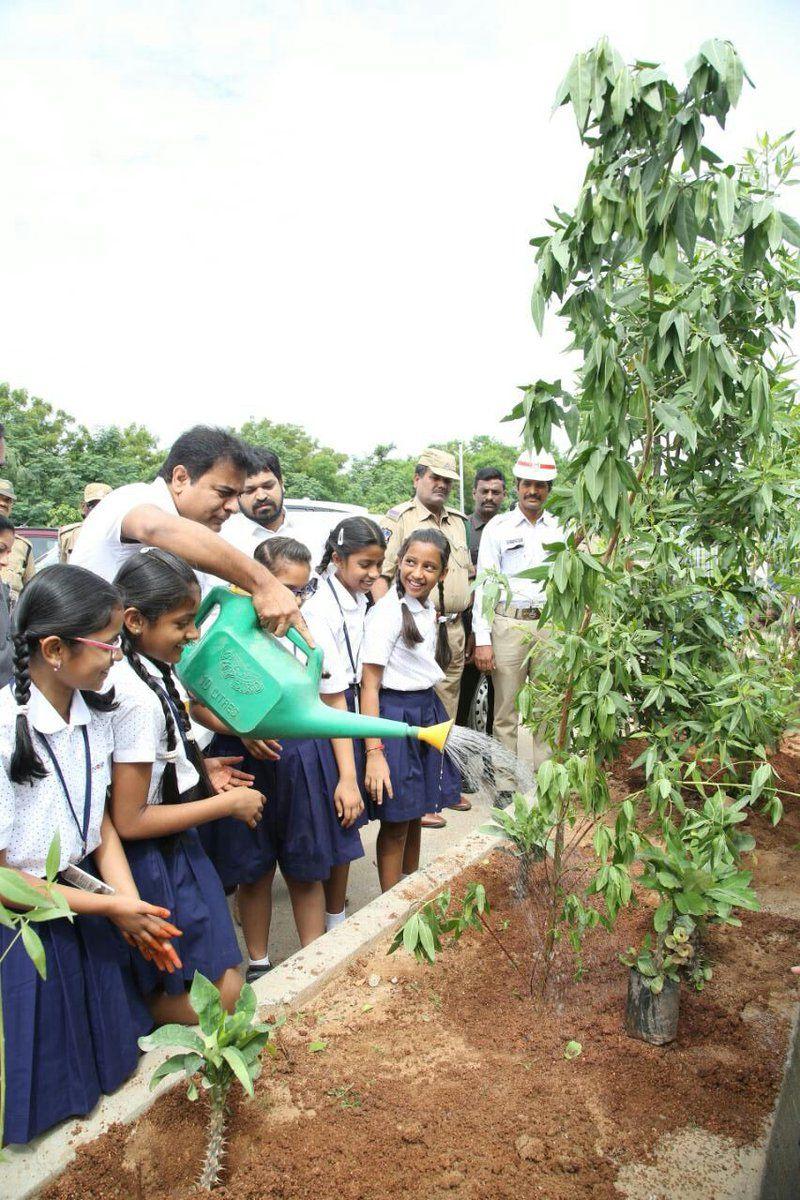 KTR planted saplings at Botanical Gardens as part of Haritha Haram
