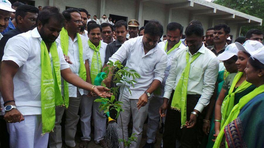 KTR planted saplings at Botanical Gardens as part of Haritha Haram