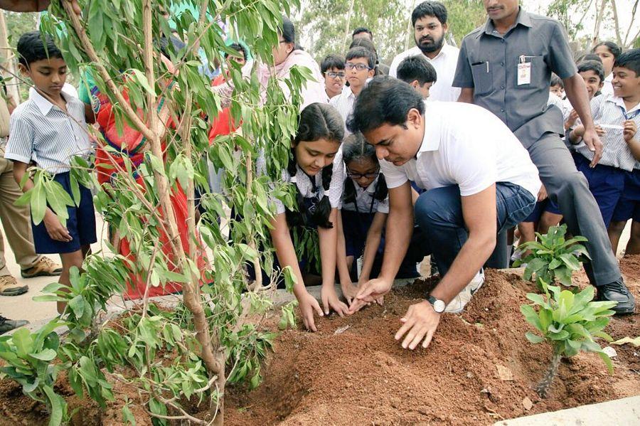 KTR planted saplings at Botanical Gardens as part of Haritha Haram