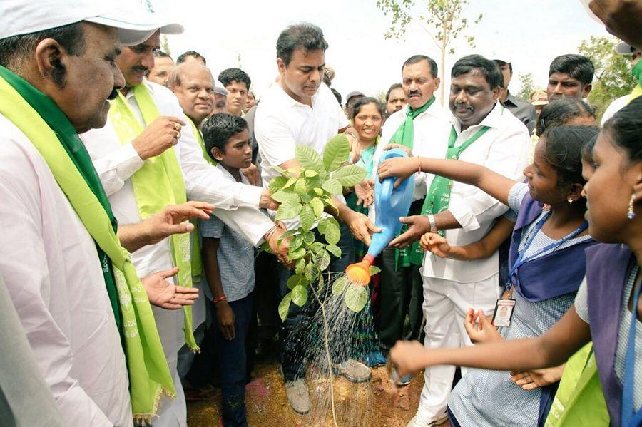 KTR planted saplings at Botanical Gardens as part of Haritha Haram