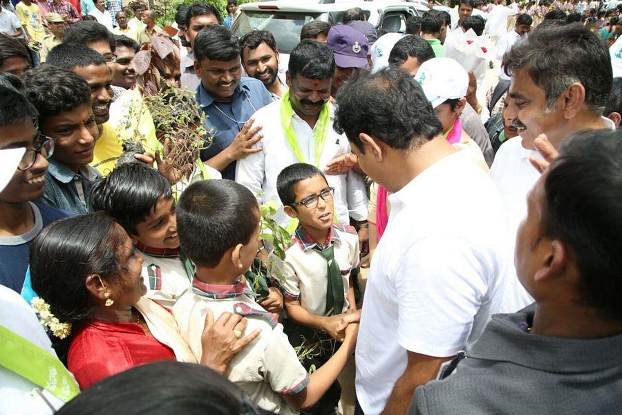 KTR planted saplings at Botanical Gardens as part of Haritha Haram