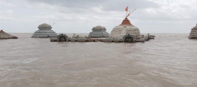 8 నెలలు నీళ్లలో... 4 నెలలు బయట..