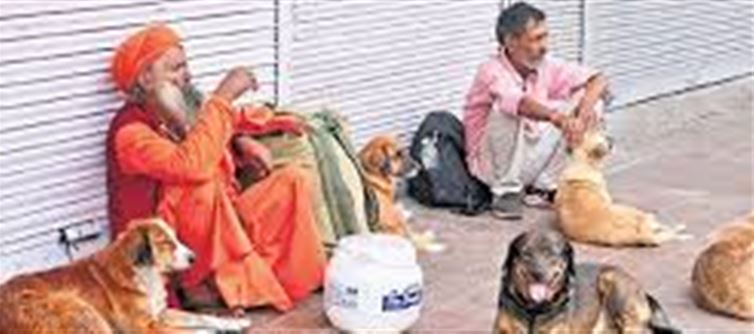 दिल्ली की 1,511 कॉलोनियों का 'पक्का' सपना — AAP, मोदी, अब रेखा गुप्ता तीसरा वादा भी हवा में?