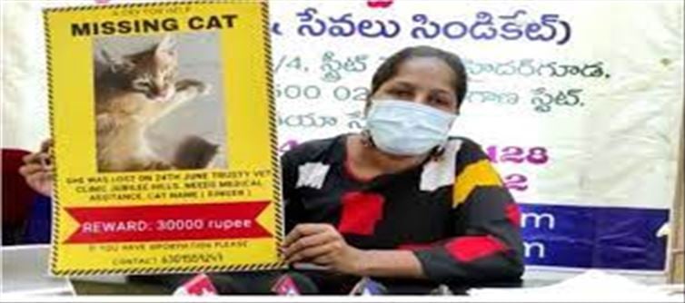 పిల్లిని వెతికిపెడితే బహుమతిస్తారట.. ఎక్కడో తెలుసా?