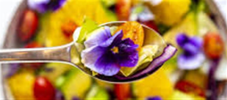 Edible Flowers: From Vegetables to Sweets, 6 Flowers Widely Used in Food