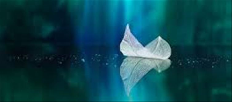 ఈ కార్యక్రమానికి పరిమిత