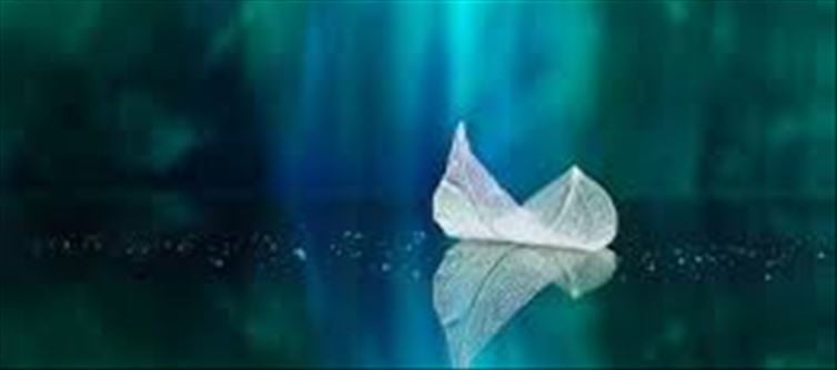 కుటుంబ సభ్యులు కూడా కొద్దిమంది మాత్రమే హాజరయ్యారు