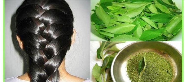 కరివేపాకు వల్ల ఆడవాళ్లకు ఎంత ఉపయోగమో తెలిస్తే దాన్ని తీసిపారేయరు... !!