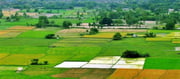 After the Government, Who Really Owns India’s Land?