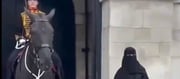 British Horse Reacts Violently On Seeing a Burqa Woman - VIDEO