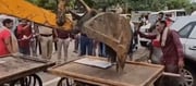 Bulldozers for the Poor, Bonuses for the Rich: India’s New Justice System