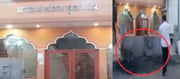 Call your Ram to save you - Muslim mob tried to burn down Sheetla Mata Temple
