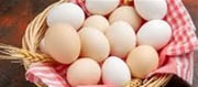How Plenty Protein Is In Eggs?