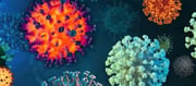 NB.1.8.1, LF.7 variants of Covid detected in India - Time to Panic !?!