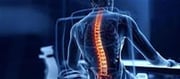 Prolonged Sitting Reshapes Bones, Affecting Health Negatively