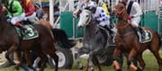 Pune Monsoon Racing Season Starts July 18.