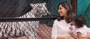 Upasana’s daughter’s best diet..!?