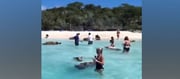Women Don't Have To Worry About Muslim Men In This 'Pig Beach' Situated In...
