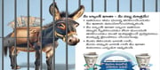 ‘మనీ మ్యూల్‌’ స్కామ్ అంటే ఏంటి..?