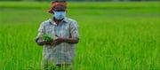 రైతు గుప్పిట్లో : పొలాలకు కావల్సింది తాయిలాలు కాదు