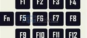 Capabilities of the F1 to F12 keys (feature keys) in Microsoft Word and plenty of other packages: