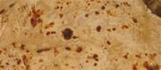 Is Chapati Precise For Diabetes?