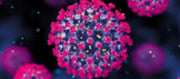 Is Nipah Virus Lower Back? Cases In those Districts Of Kerala Spark sparkling difficulty