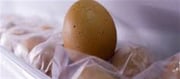 Wait Before Boiling Eggs From Fridge.