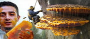 What happens after eating Mad Honey and where does Mad Honey come from?