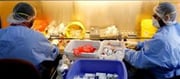 Budget: How much importance was given to cancer treatment?