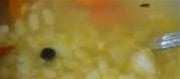 Ensure To Feed Rice Soup To Small Kids