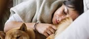 Do you let your dog sleep on your bed? How dangerous is it?