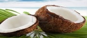 Coconut cracking protest on the road..!?