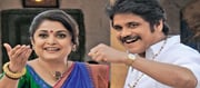 రమ్యకృష్ణ... నటనకే ఆ సినిమా హిట్ అయిందా?