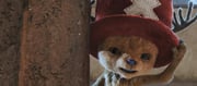 Netflix’s ONE PIECE Season 2 Unveils First Look at Tony Tony Chopper