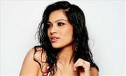 Actress Navel Show