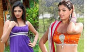 Kannada Actress Hot Sexy Photos
