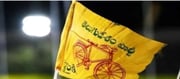 ఈ మార్గాలను ఫాలో అయితే టీడీపీకి బెస్ట్.. ఈ విధంగా చంద్రబాబు చేస్తారా?