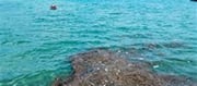 Experts Flag Risk Of Plastic Pollutants In Oceans.