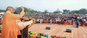Is Congress losing badly in the semi-finals of the assembly?