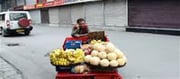 PM Svanidhi: Scheme For Street Vendor Financial Support