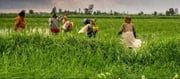 వ్యవసాయ బిల్లులకు వివిధ రాష్ట్ర ప్రభుత్వాల నుంచి తీవ్ర వ్యతిరేకత