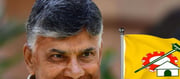 ఢిల్లీ డైరీ : బీజేపీ బంధం తెంపేశాడండీ బాబూ!
