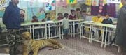 TN Launches Natural World Attention Force In Schools