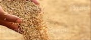టి.ఎస్ : టార్గెట్ టూ డేస్ ఓన్లీ !