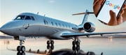 Google's new feature! Now you will get great flight deals!