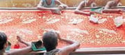 10 children from Bihar freed from bangle factory!