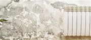 A Way To Eliminate Wall Dampness All Through The Wet Season