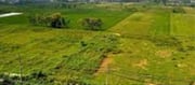 Delhi-NCR's New City: Landowners Promote Plots Online.